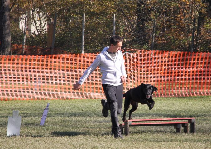 rally obedience stefan harej