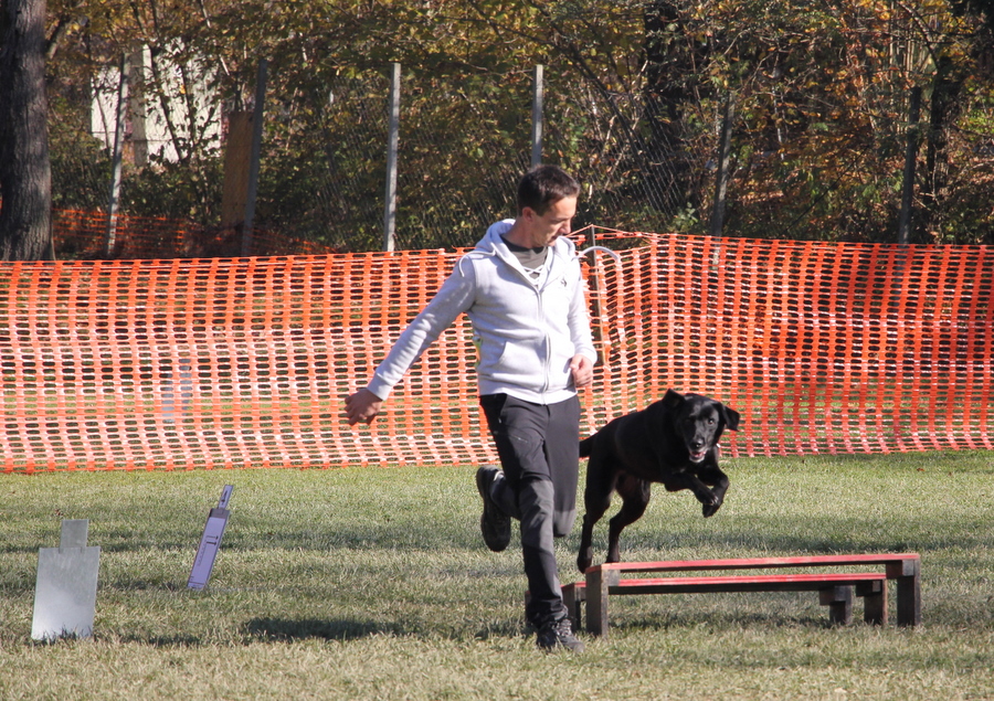 rally obedience stefan harej