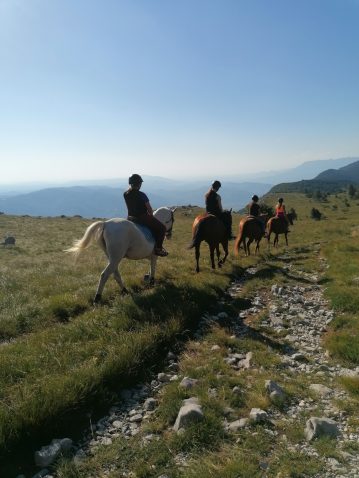 Ranč Tunink