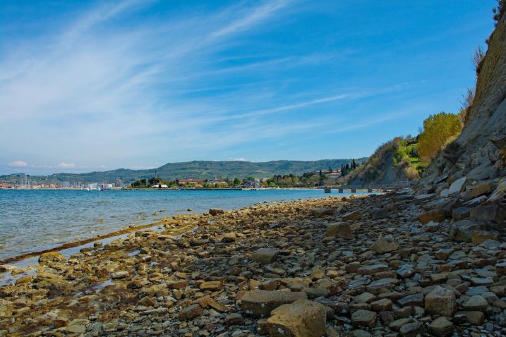 Slovenska plaža: tudi tu je prepovedano vznemirjati živali. Foto: Profimedia