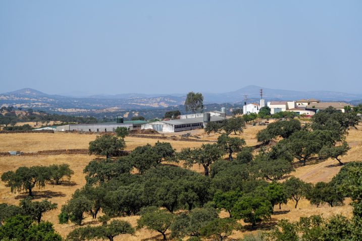 Kmetija