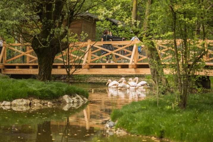 ZOO Ljubljana