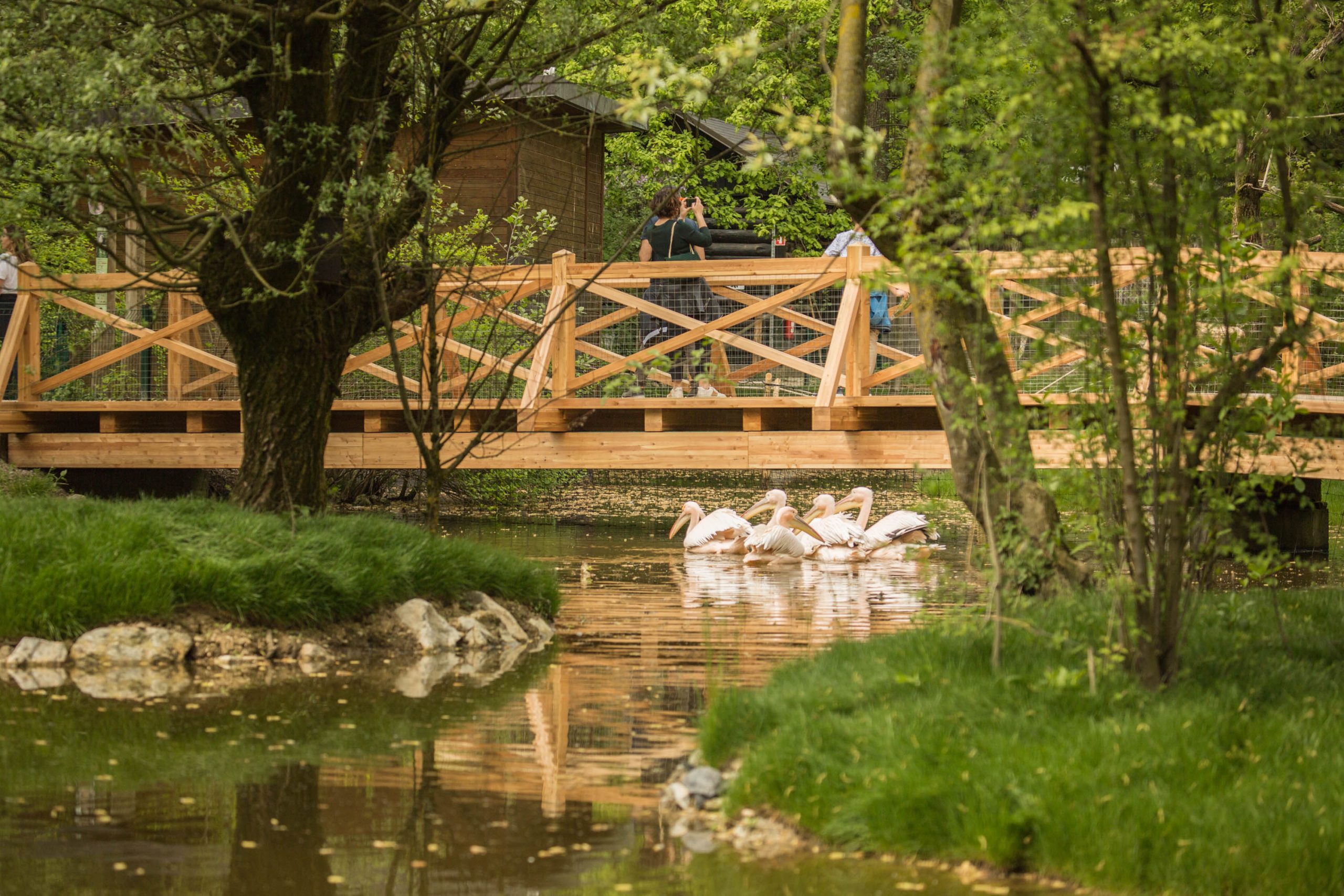 ZOO Ljubljana