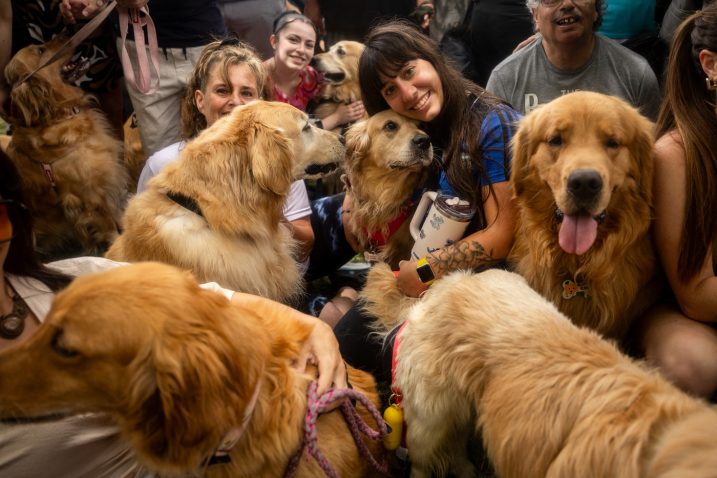 Zlati prinašalci. Foto: Profimedia