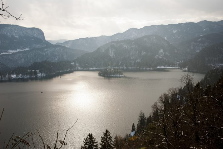 V Sloveniji lahko opazimo številne čudovite ptice. Foto: Profimedia