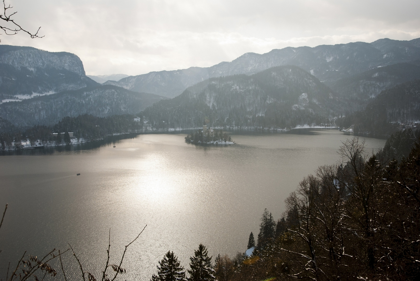 V Sloveniji lahko opazimo številne čudovite ptice. Foto: Profimedia