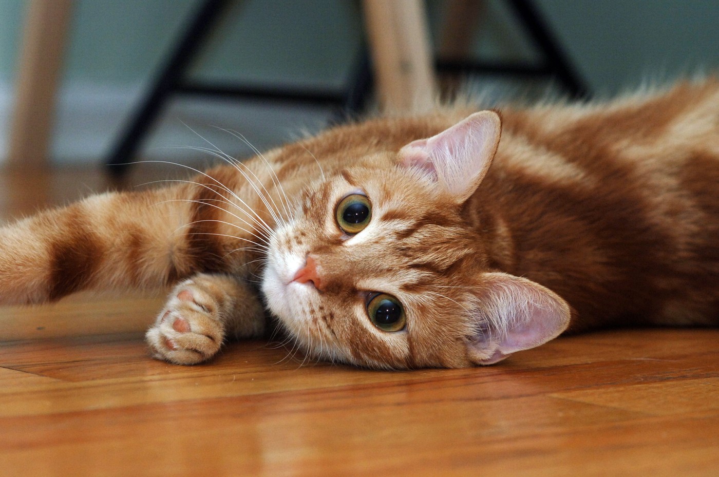 Kdaj moramo postati skrbniki pozorni? Foto: Profimedia