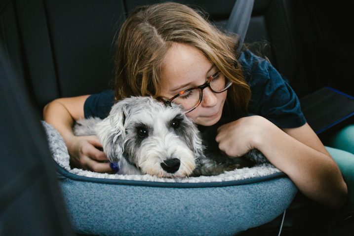 O odgovornem skrbništvu je treba otroke poučiti zelo zgodaj. Foto: Profimedia