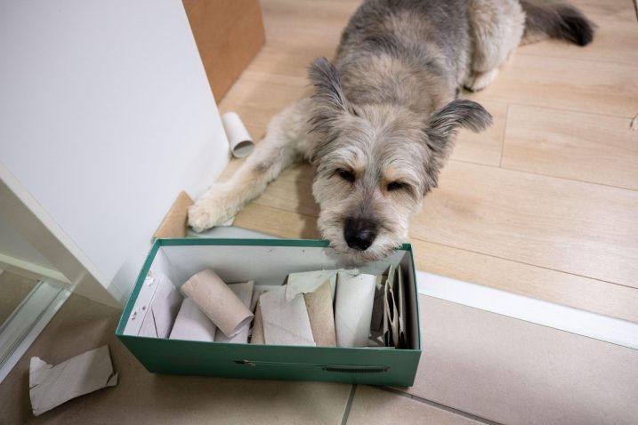 Fotografija je simbolična Profimedia